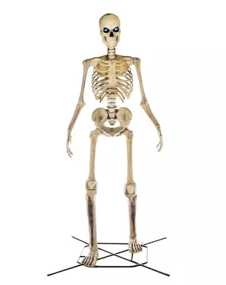 Giant-Sized Skeleton